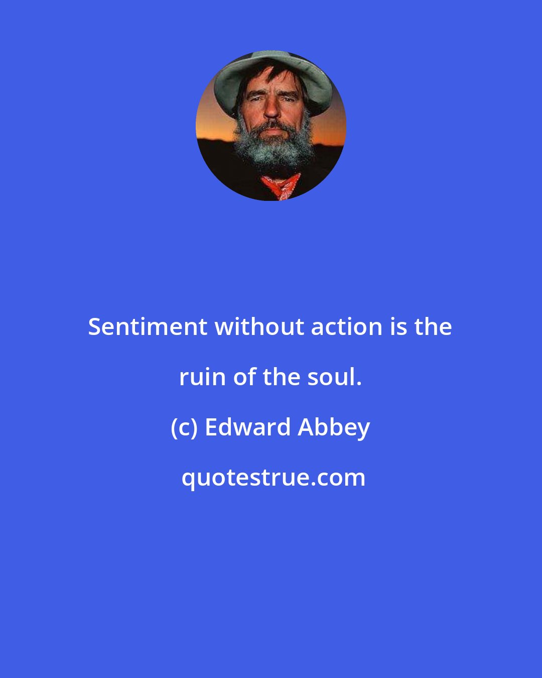 Edward Abbey: Sentiment without action is the ruin of the soul.