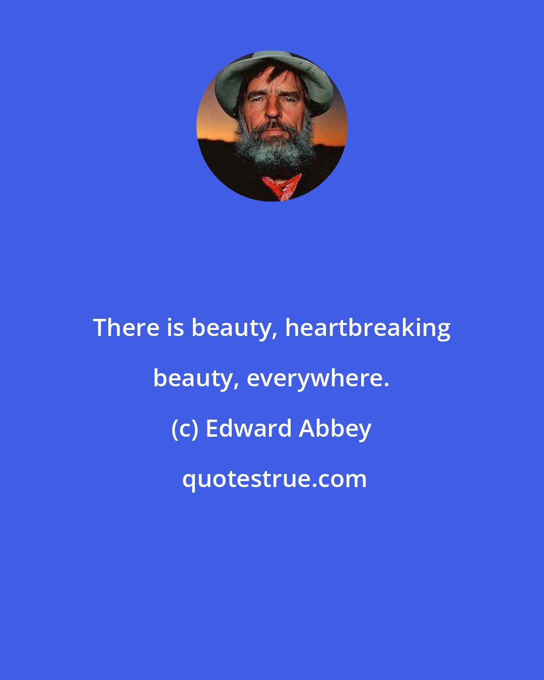 Edward Abbey: There is beauty, heartbreaking beauty, everywhere.