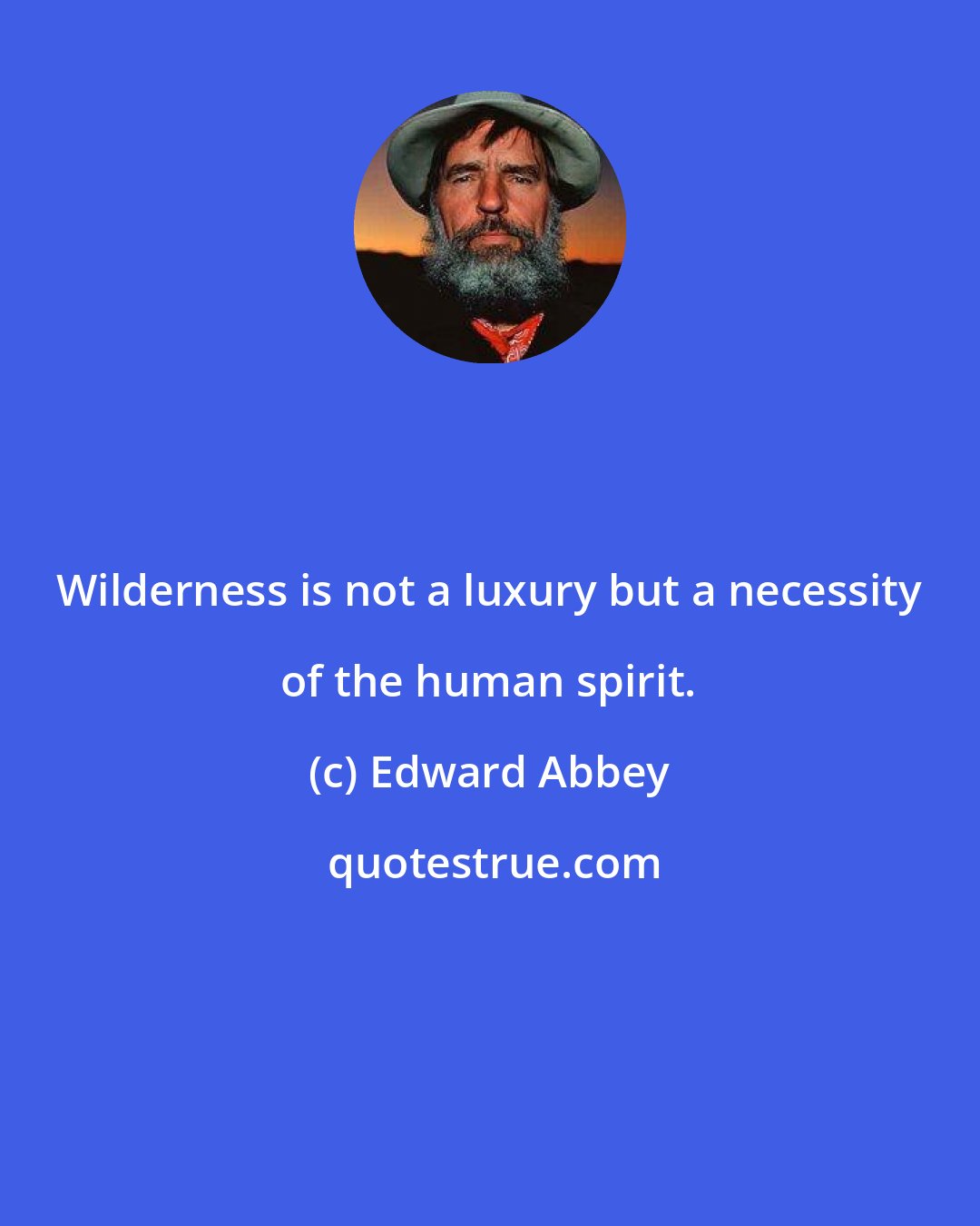 Edward Abbey: Wilderness is not a luxury but a necessity of the human spirit.