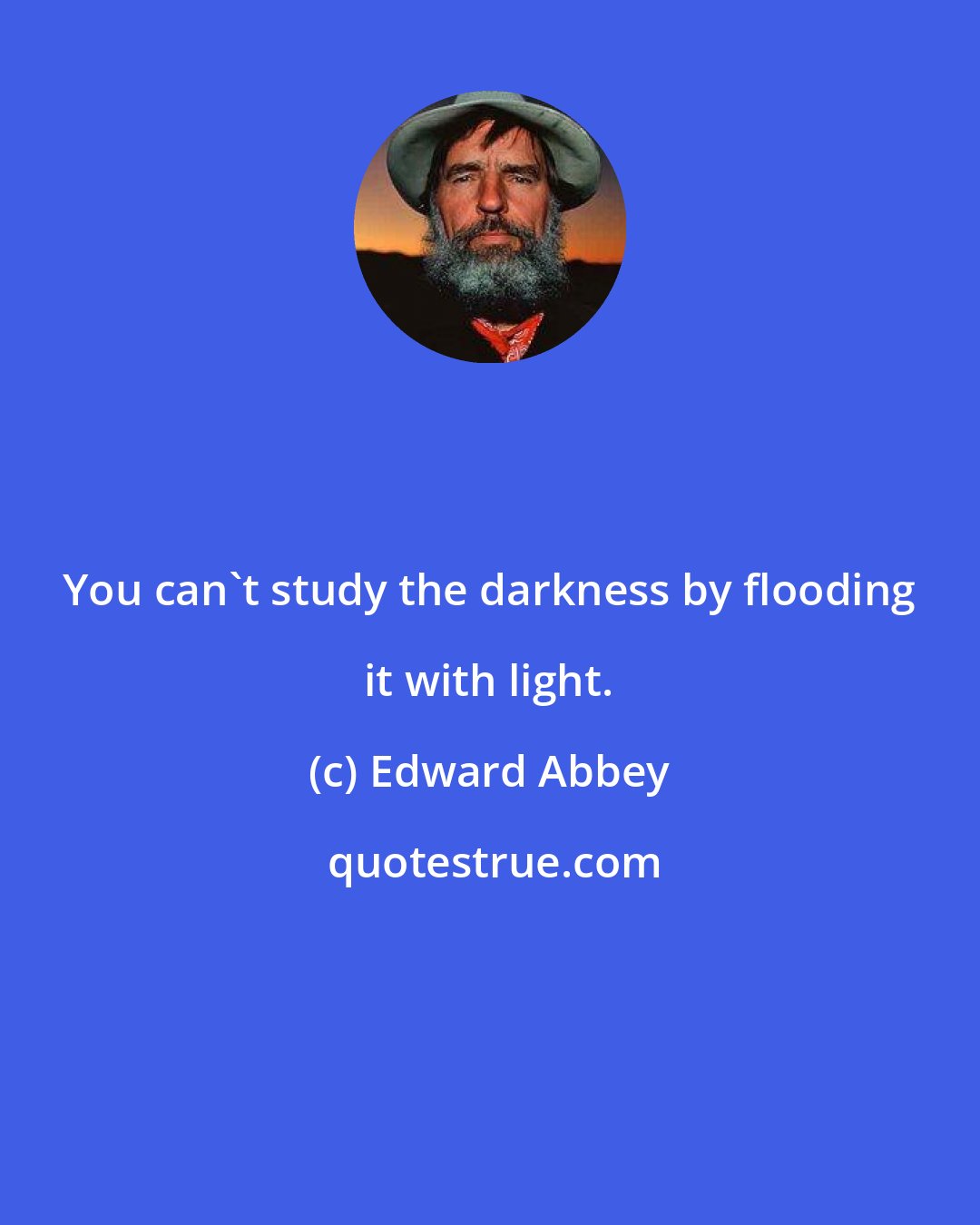 Edward Abbey: You can't study the darkness by flooding it with light.