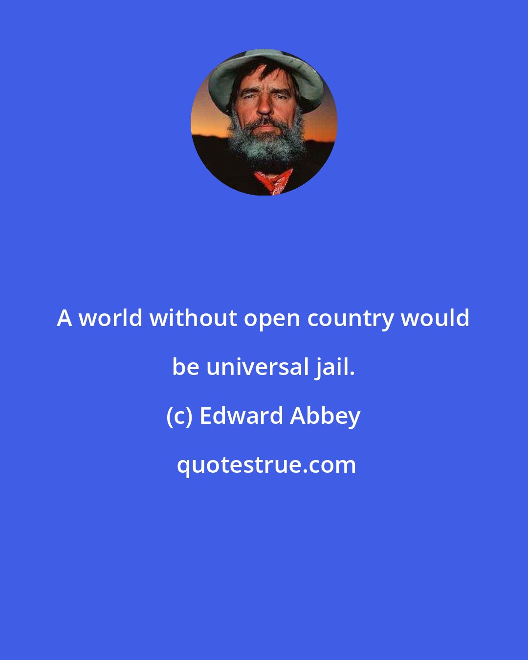 Edward Abbey: A world without open country would be universal jail.