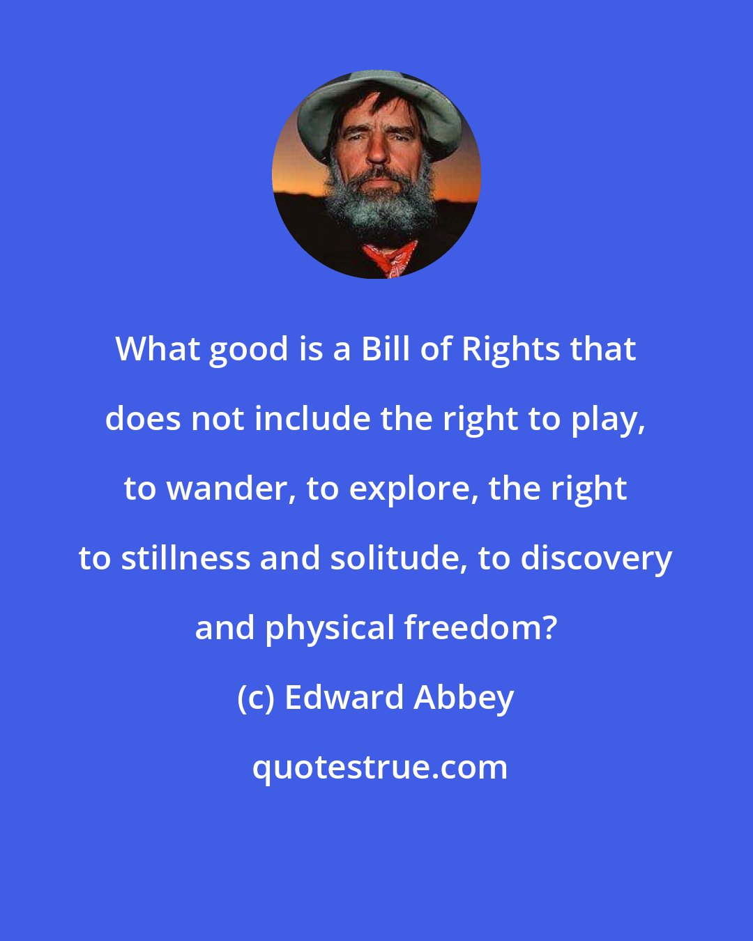 Edward Abbey: What good is a Bill of Rights that does not include the right to play, to wander, to explore, the right to stillness and solitude, to discovery and physical freedom?