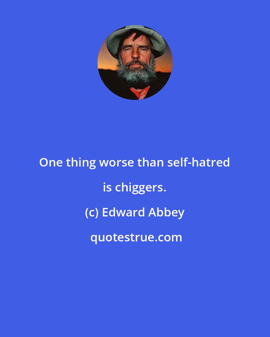 Edward Abbey: One thing worse than self-hatred is chiggers.