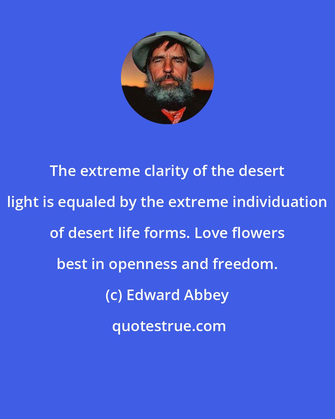 Edward Abbey: The extreme clarity of the desert light is equaled by the extreme individuation of desert life forms. Love flowers best in openness and freedom.