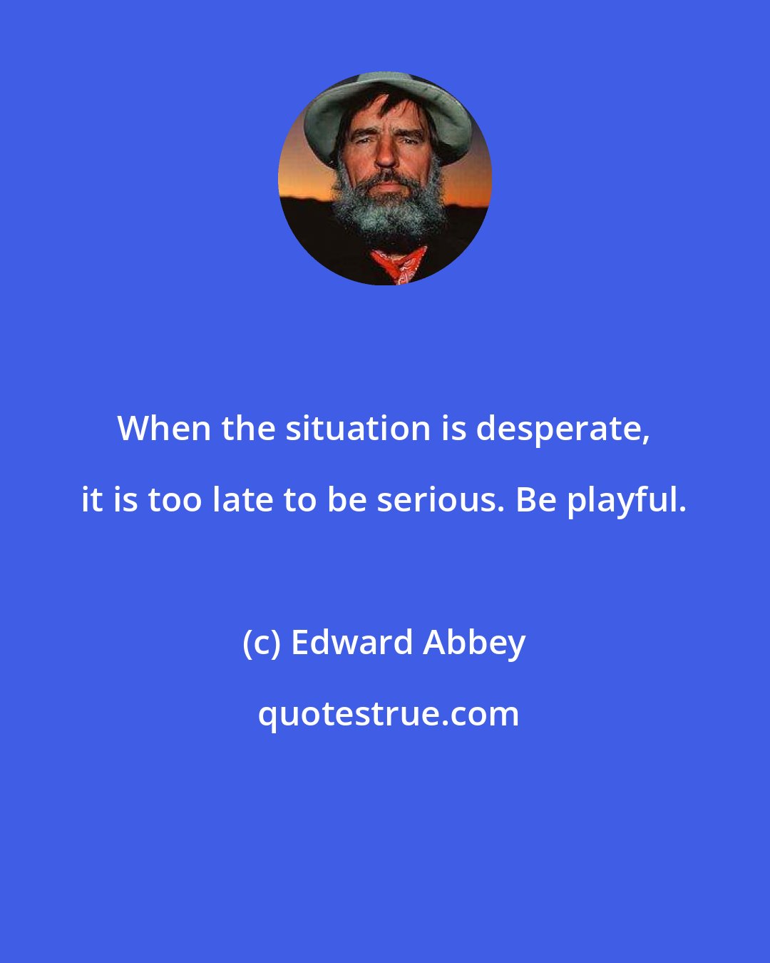 Edward Abbey: When the situation is desperate, it is too late to be serious. Be playful.