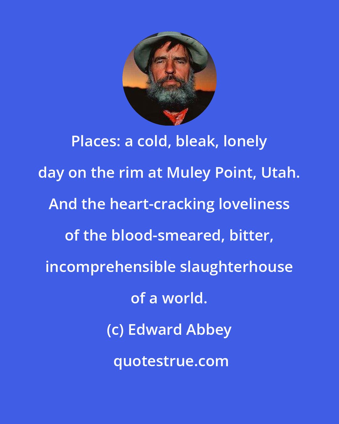 Edward Abbey: Places: a cold, bleak, lonely day on the rim at Muley Point, Utah. And the heart-cracking loveliness of the blood-smeared, bitter, incomprehensible slaughterhouse of a world.