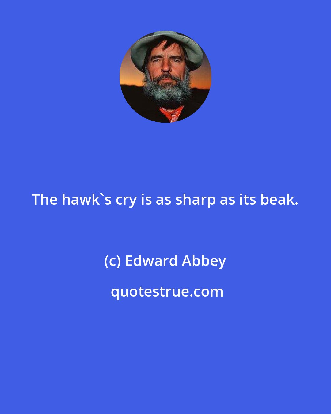 Edward Abbey: The hawk's cry is as sharp as its beak.
