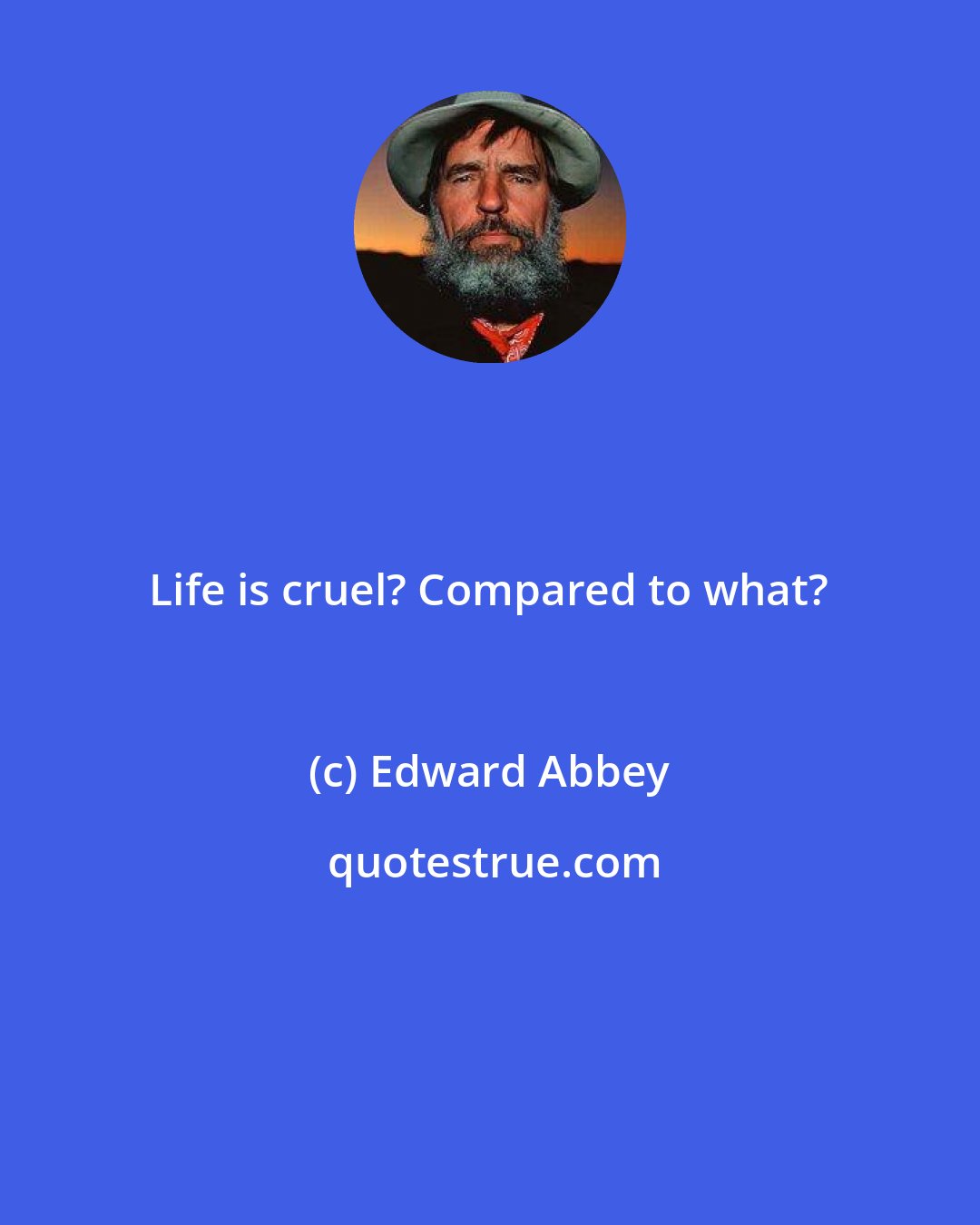 Edward Abbey: Life is cruel? Compared to what?