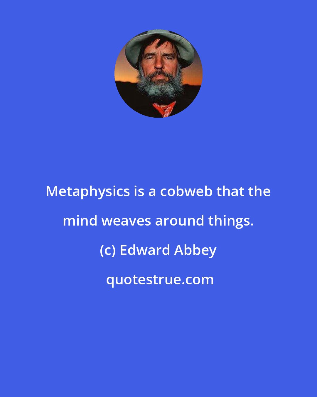 Edward Abbey: Metaphysics is a cobweb that the mind weaves around things.