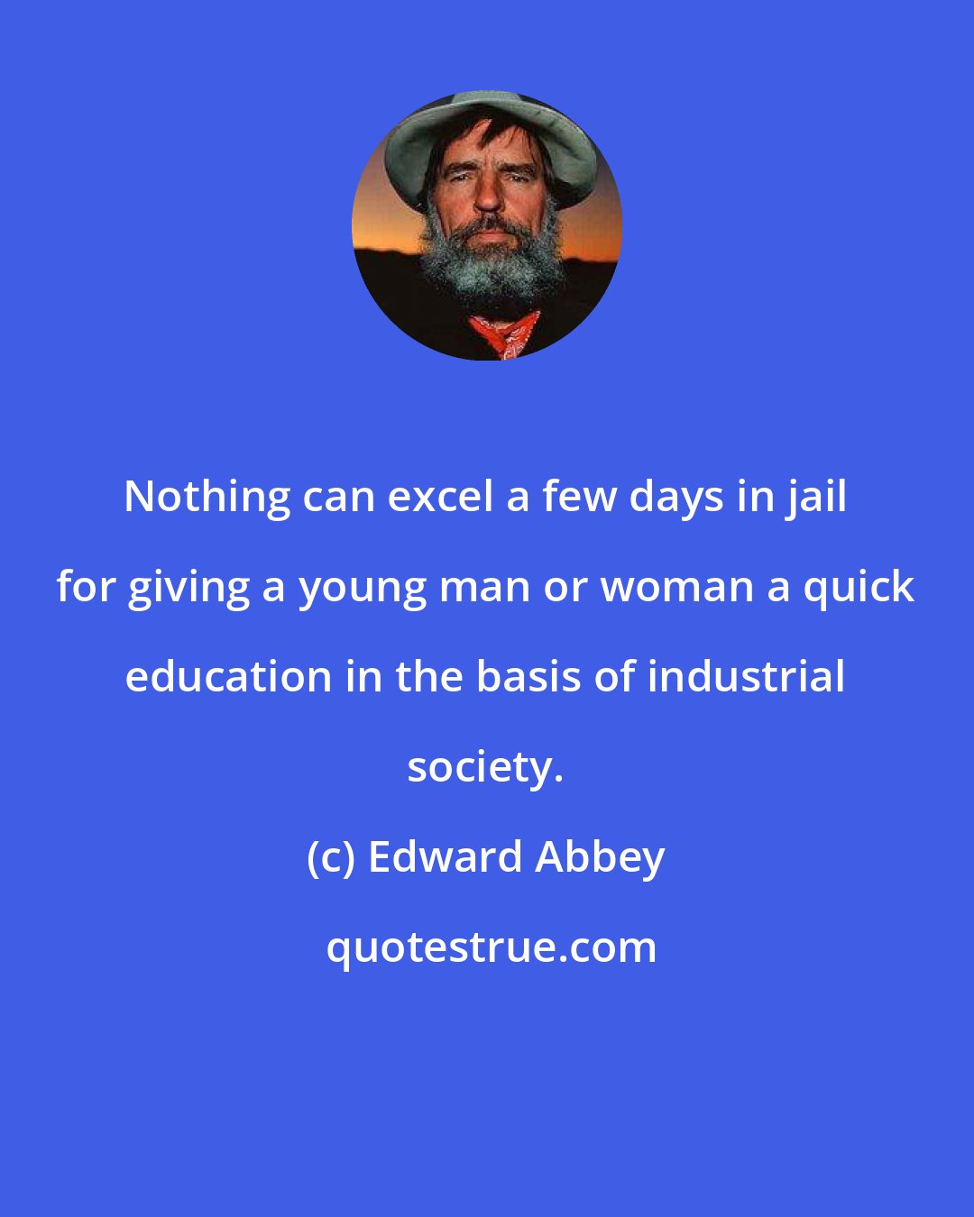 Edward Abbey: Nothing can excel a few days in jail for giving a young man or woman a quick education in the basis of industrial society.