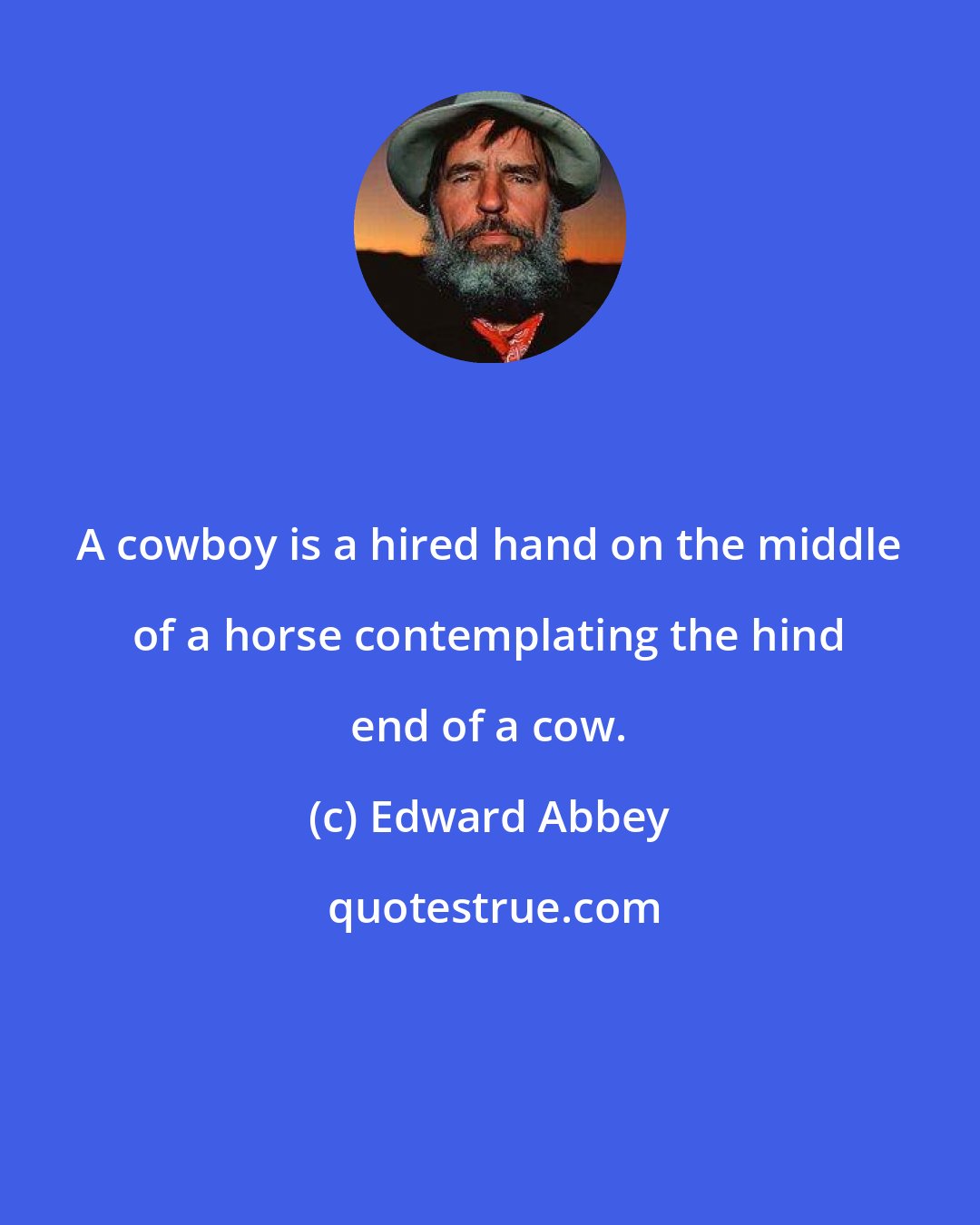 Edward Abbey: A cowboy is a hired hand on the middle of a horse contemplating the hind end of a cow.