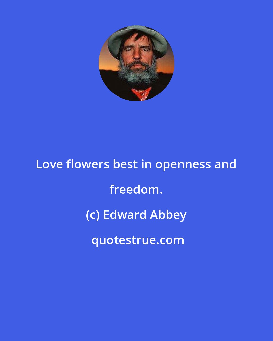 Edward Abbey: Love flowers best in openness and freedom.