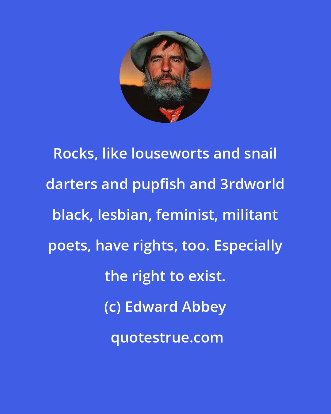 Edward Abbey: Rocks, like louseworts and snail darters and pupfish and 3rdworld black, lesbian, feminist, militant poets, have rights, too. Especially the right to exist.