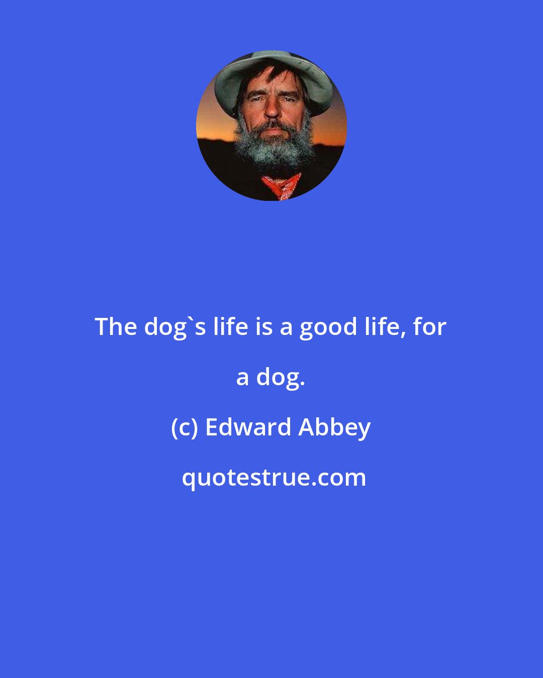 Edward Abbey: The dog's life is a good life, for a dog.