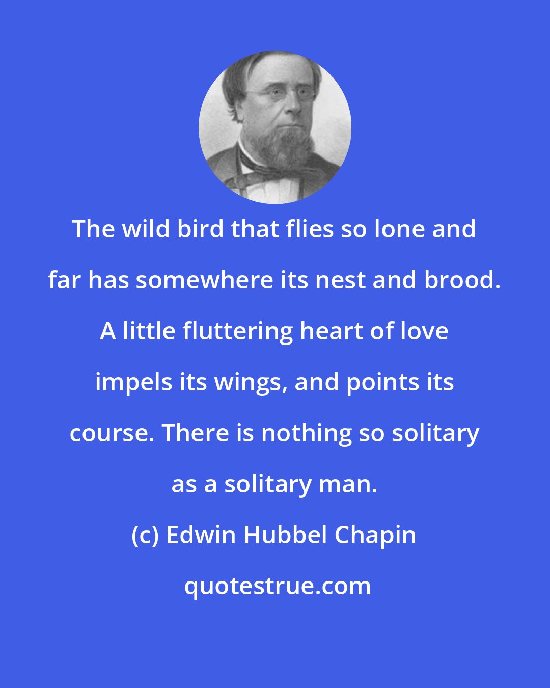Edwin Hubbel Chapin: The wild bird that flies so lone and far has somewhere its nest and brood. A little fluttering heart of love impels its wings, and points its course. There is nothing so solitary as a solitary man.