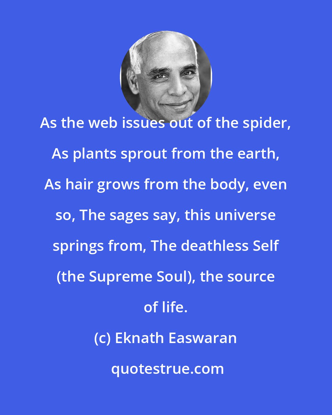 Eknath Easwaran: As the web issues out of the spider, As plants sprout from the earth, As hair grows from the body, even so, The sages say, this universe springs from, The deathless Self (the Supreme Soul), the source of life.