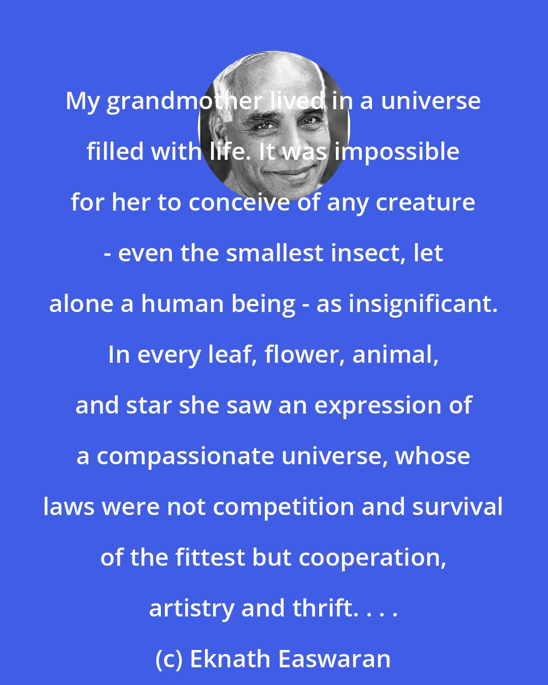 Eknath Easwaran: My grandmother lived in a universe filled with life. It was impossible for her to conceive of any creature - even the smallest insect, let alone a human being - as insignificant. In every leaf, flower, animal, and star she saw an expression of a compassionate universe, whose laws were not competition and survival of the fittest but cooperation, artistry and thrift. . . .