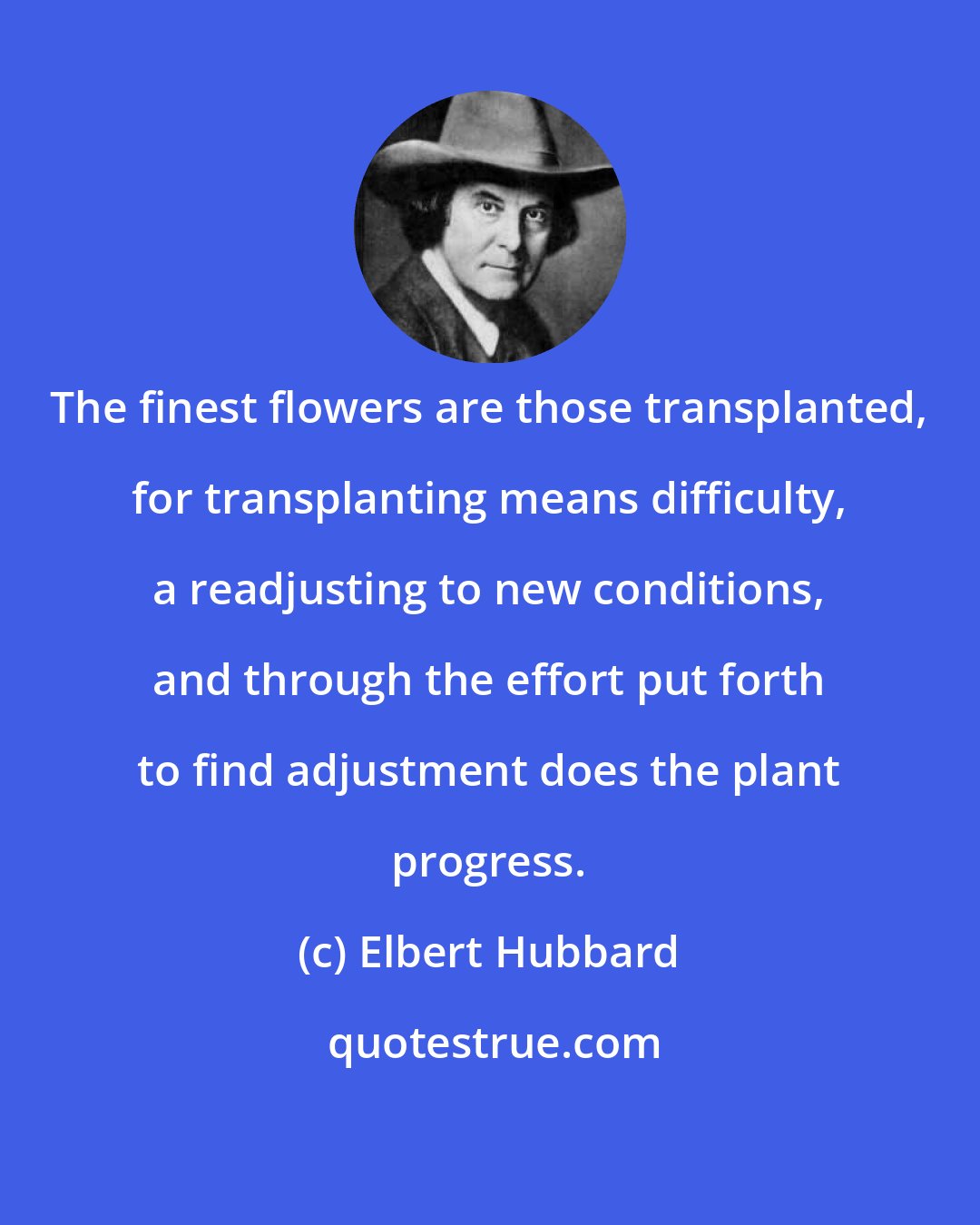 Elbert Hubbard: The finest flowers are those transplanted, for transplanting means difficulty, a readjusting to new conditions, and through the effort put forth to find adjustment does the plant progress.