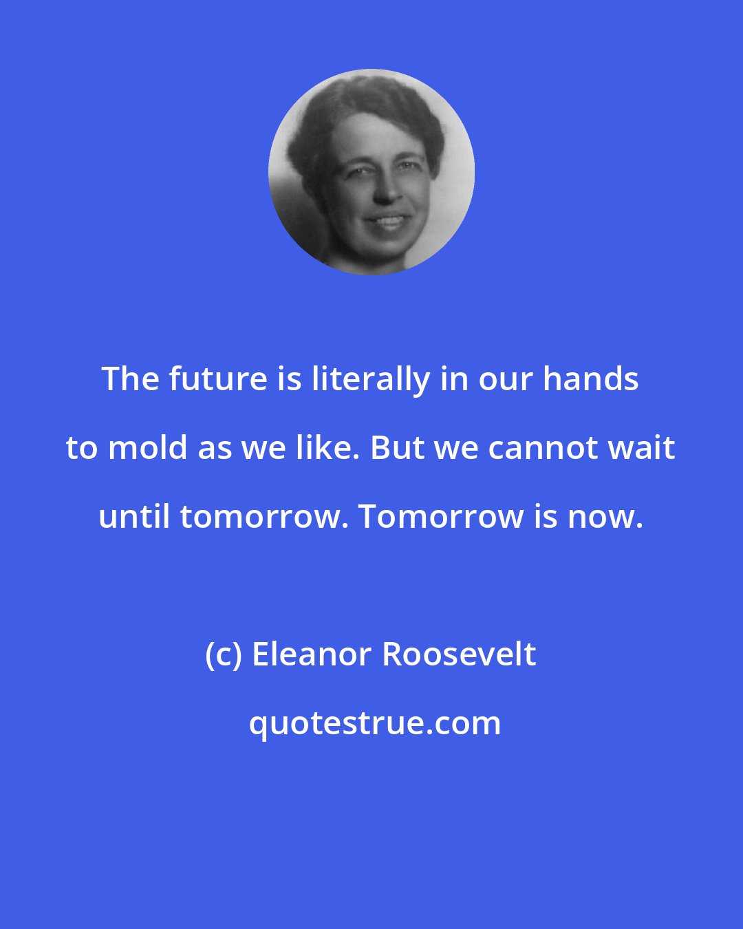 Eleanor Roosevelt: The future is literally in our hands to mold as we like. But we cannot wait until tomorrow. Tomorrow is now.