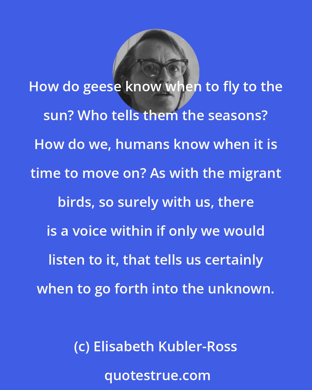 Elisabeth Kubler-Ross: How do geese know when to fly to the sun? Who tells them the seasons? How do we, humans know when it is time to move on? As with the migrant birds, so surely with us, there is a voice within if only we would listen to it, that tells us certainly when to go forth into the unknown.