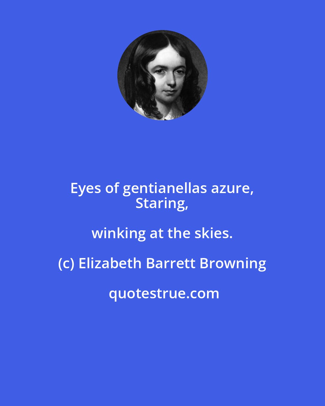 Elizabeth Barrett Browning: Eyes of gentianellas azure, 
 Staring, winking at the skies.