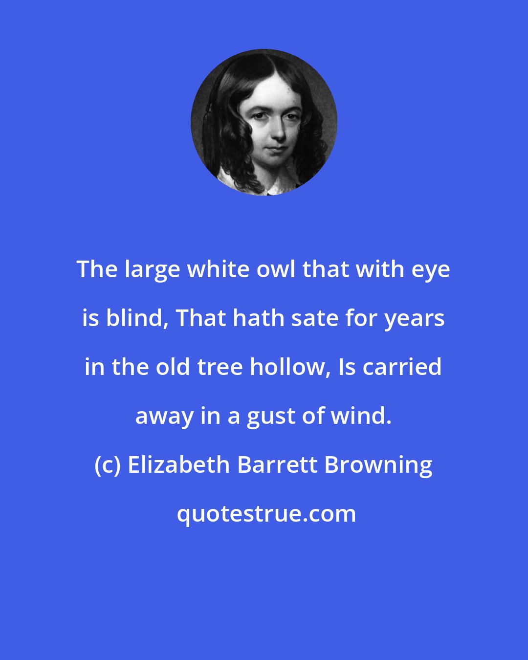 Elizabeth Barrett Browning: The large white owl that with eye is blind, That hath sate for years in the old tree hollow, Is carried away in a gust of wind.