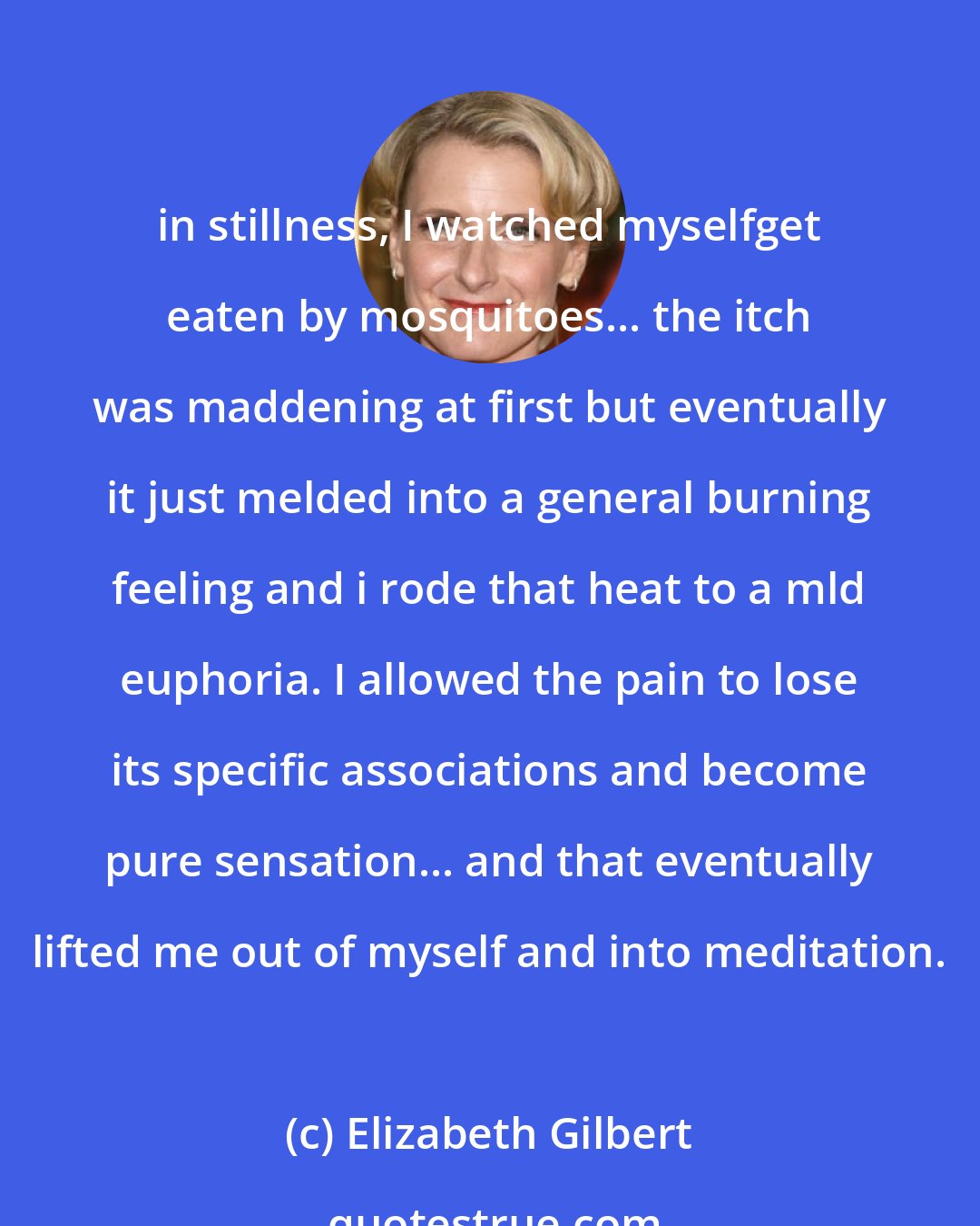 Elizabeth Gilbert: in stillness, I watched myselfget eaten by mosquitoes... the itch was maddening at first but eventually it just melded into a general burning feeling and i rode that heat to a mld euphoria. I allowed the pain to lose its specific associations and become pure sensation... and that eventually lifted me out of myself and into meditation.
