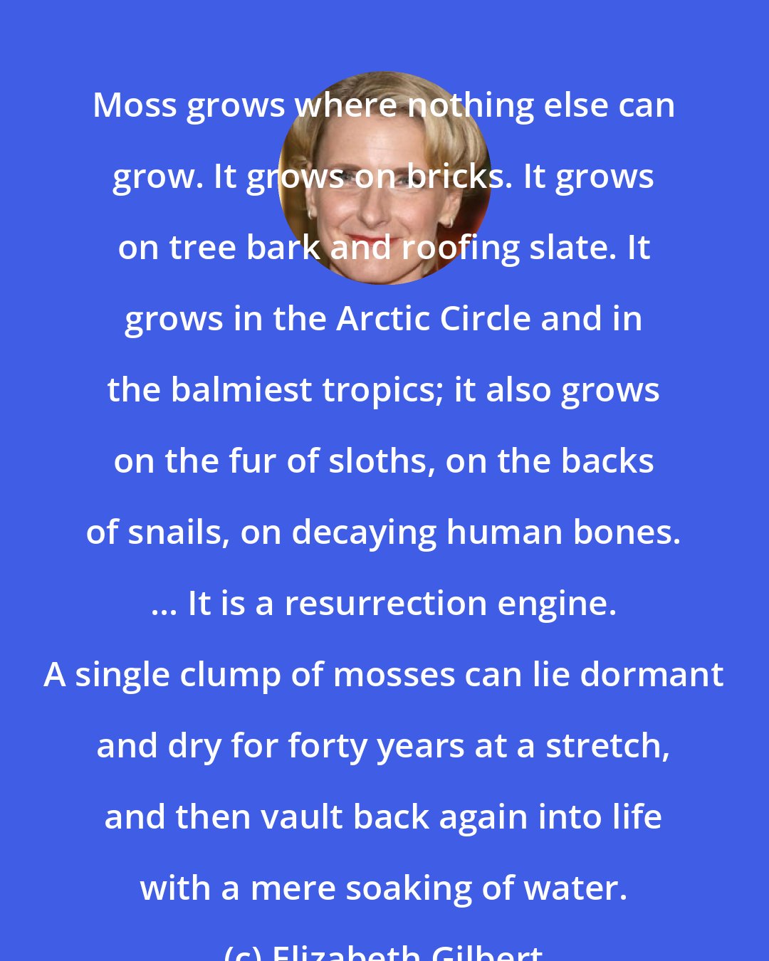 Elizabeth Gilbert: Moss grows where nothing else can grow. It grows on bricks. It grows on tree bark and roofing slate. It grows in the Arctic Circle and in the balmiest tropics; it also grows on the fur of sloths, on the backs of snails, on decaying human bones. ... It is a resurrection engine. A single clump of mosses can lie dormant and dry for forty years at a stretch, and then vault back again into life with a mere soaking of water.