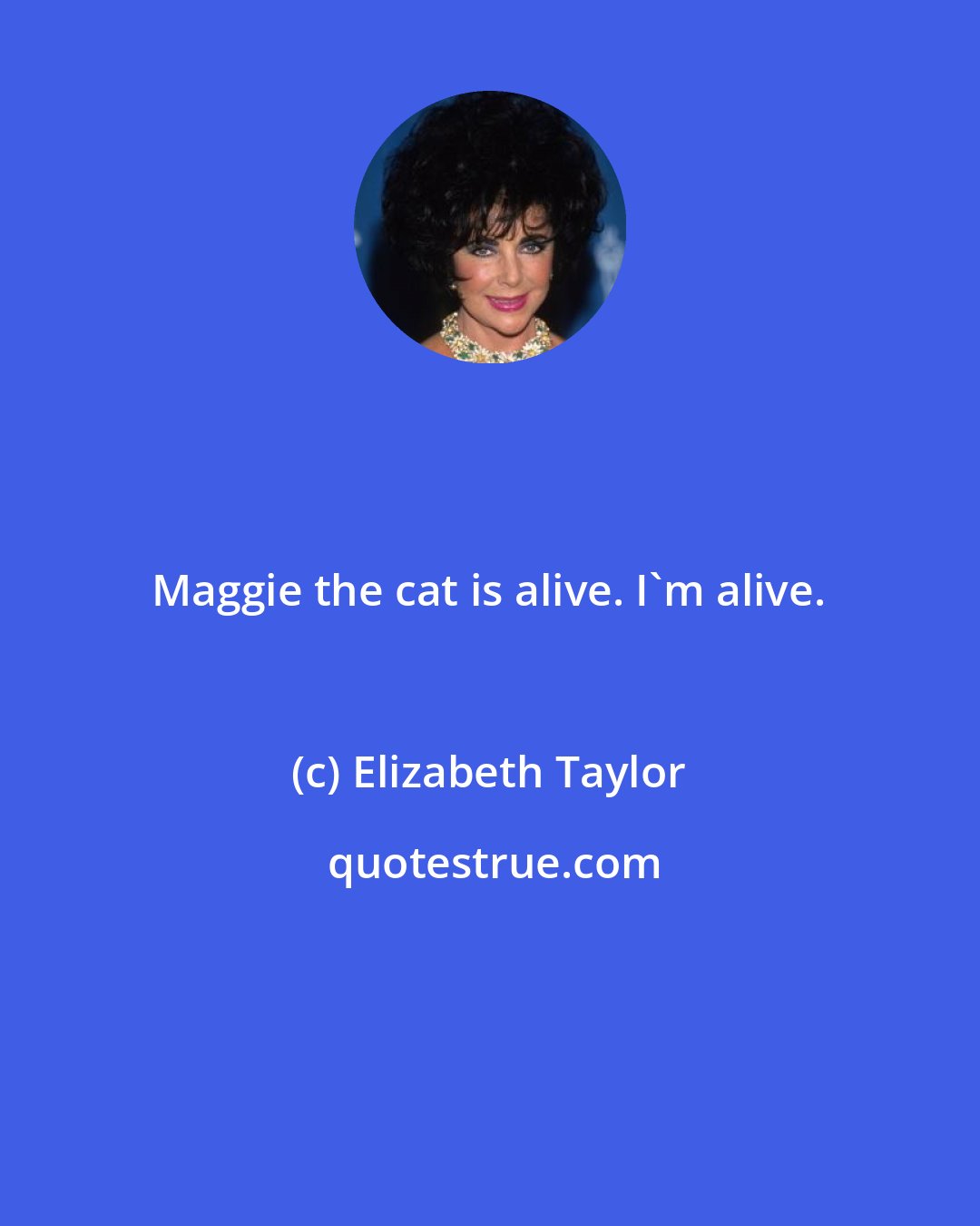 Elizabeth Taylor: Maggie the cat is alive. I'm alive.