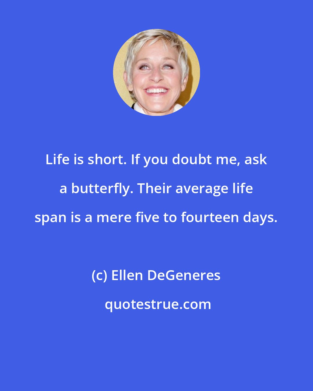 Ellen DeGeneres: Life is short. If you doubt me, ask a butterfly. Their average life span is a mere five to fourteen days.
