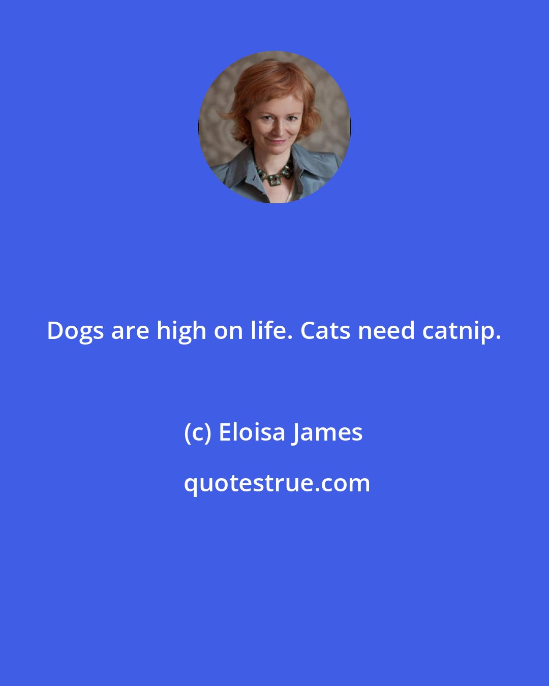 Eloisa James: Dogs are high on life. Cats need catnip.