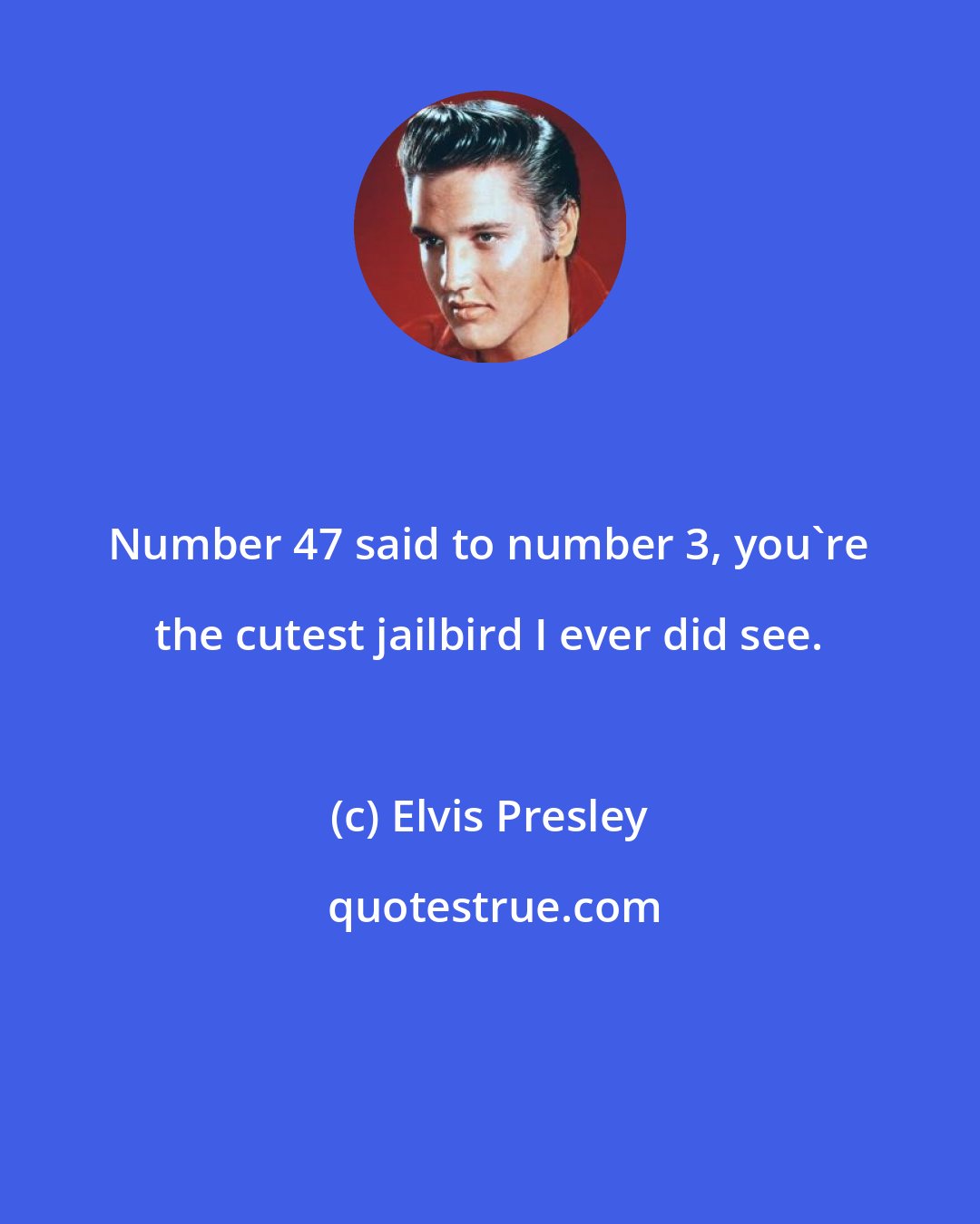 Elvis Presley: Number 47 said to number 3, you're the cutest jailbird I ever did see.