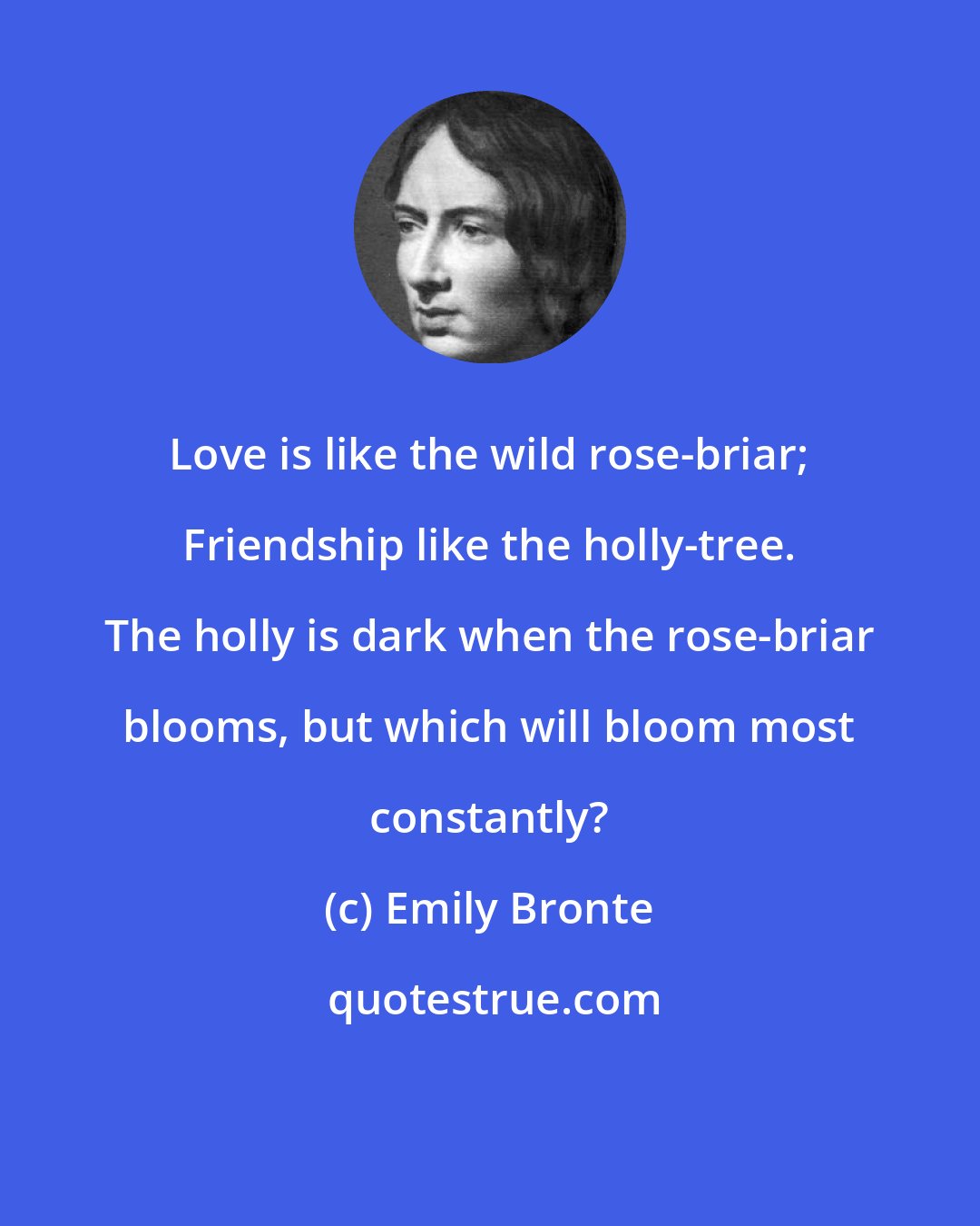 Emily Bronte: Love is like the wild rose-briar; Friendship like the holly-tree. The holly is dark when the rose-briar blooms, but which will bloom most constantly?