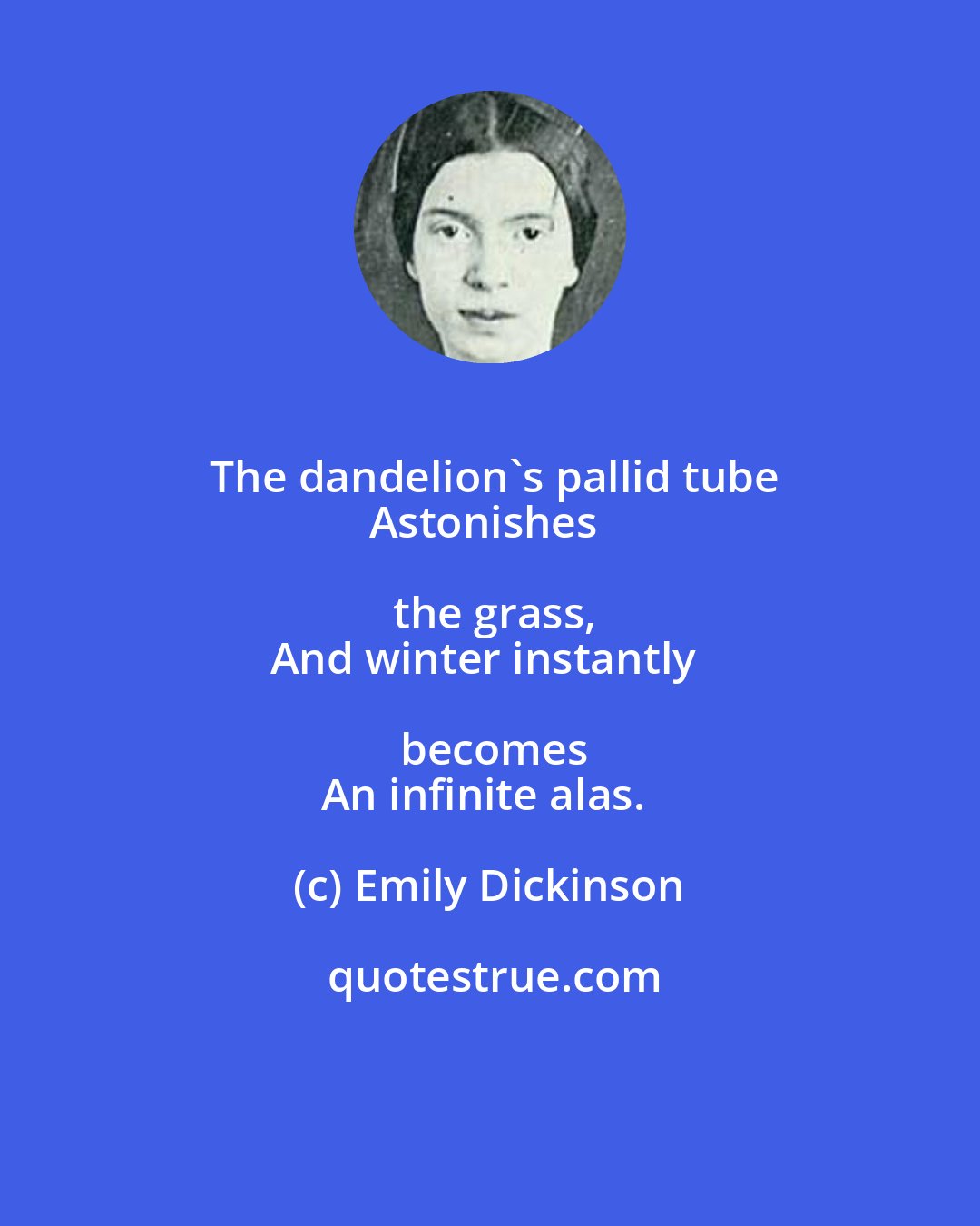 Emily Dickinson: The dandelion's pallid tube
Astonishes the grass,
And winter instantly becomes
An infinite alas.