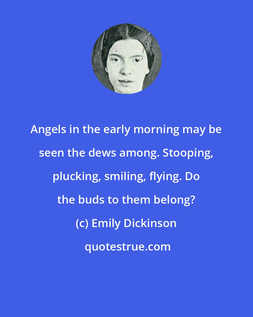 Emily Dickinson: Angels in the early morning may be seen the dews among. Stooping, plucking, smiling, flying. Do the buds to them belong?