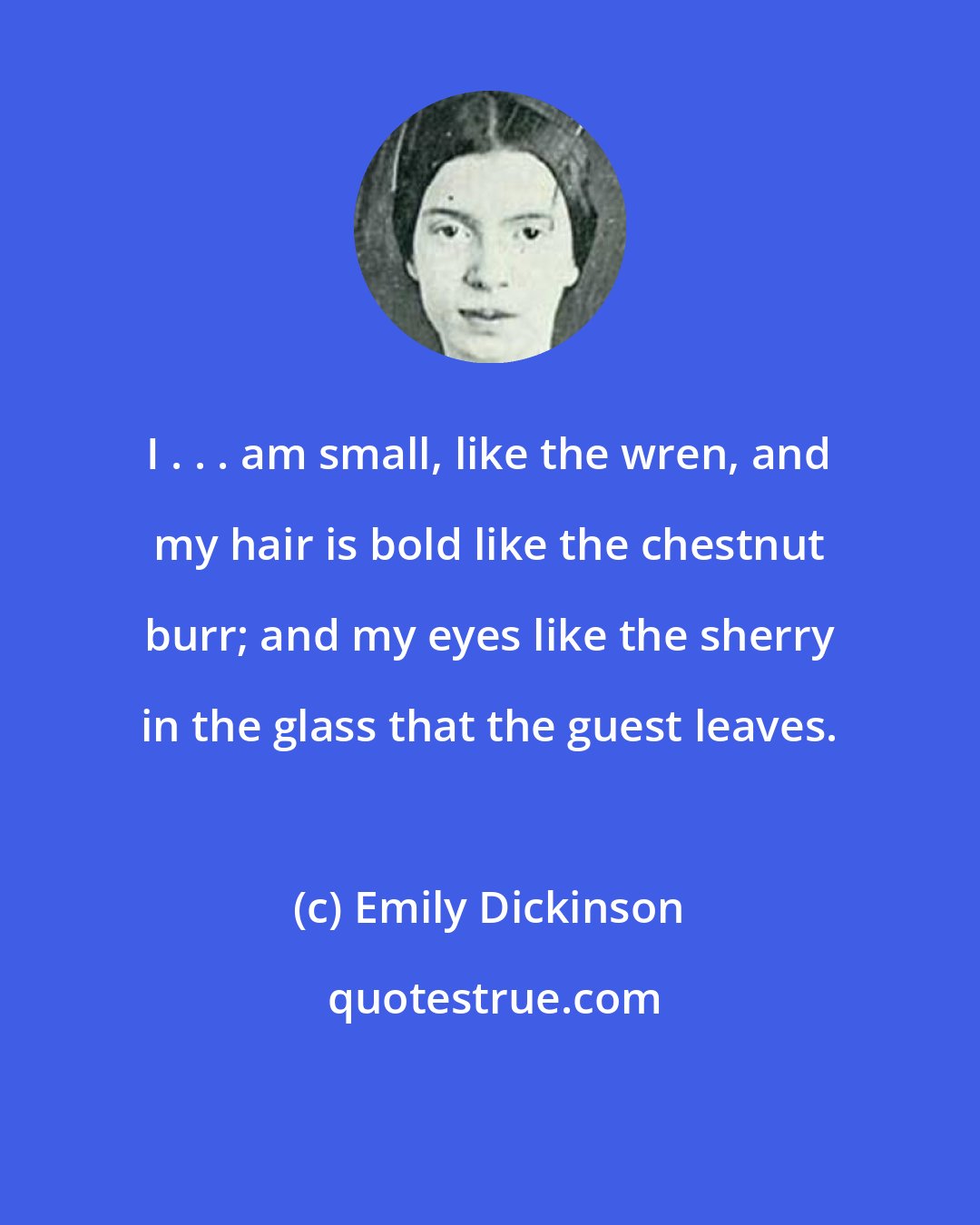 Emily Dickinson: I . . . am small, like the wren, and my hair is bold like the chestnut burr; and my eyes like the sherry in the glass that the guest leaves.