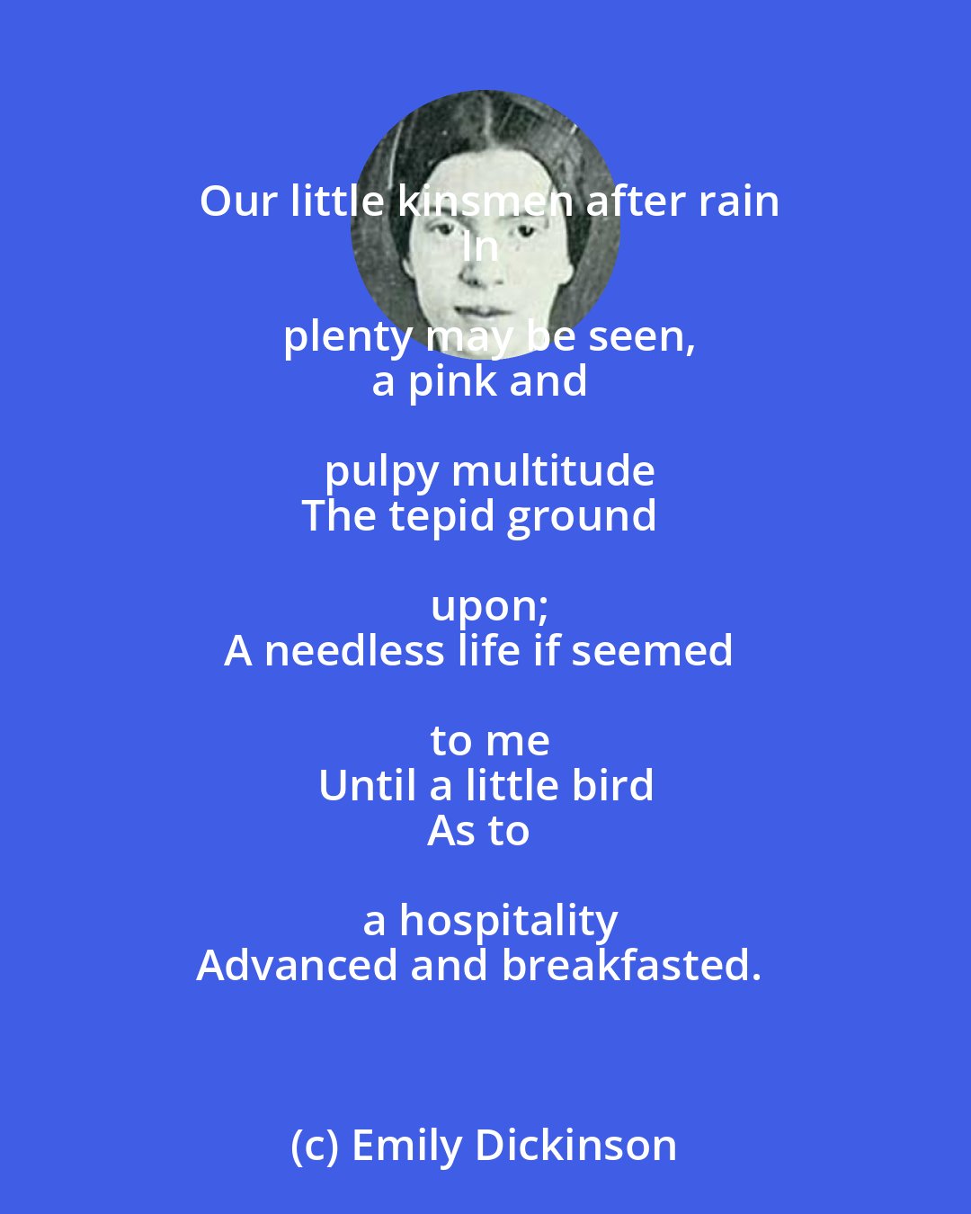 Emily Dickinson: Our little kinsmen after rain
In plenty may be seen,
a pink and pulpy multitude
The tepid ground upon;
A needless life if seemed to me
Until a little bird
As to a hospitality
Advanced and breakfasted.