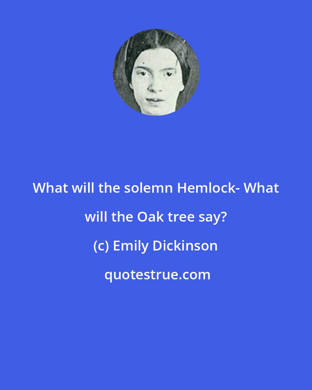 Emily Dickinson: What will the solemn Hemlock- What will the Oak tree say?
