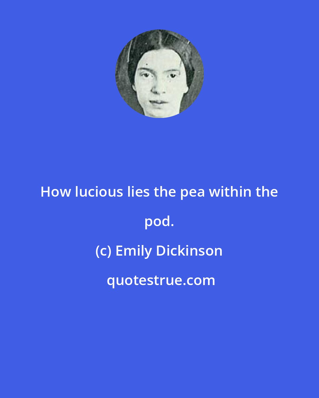Emily Dickinson: How lucious lies the pea within the pod.