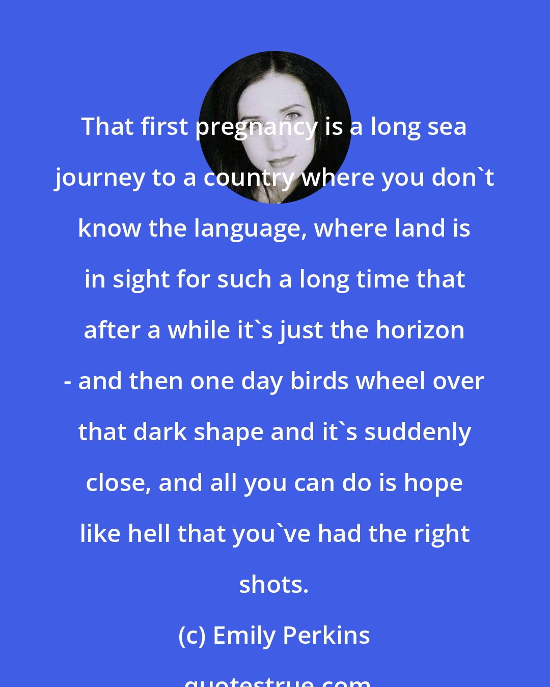 Emily Perkins: That first pregnancy is a long sea journey to a country where you don't know the language, where land is in sight for such a long time that after a while it's just the horizon - and then one day birds wheel over that dark shape and it's suddenly close, and all you can do is hope like hell that you've had the right shots.
