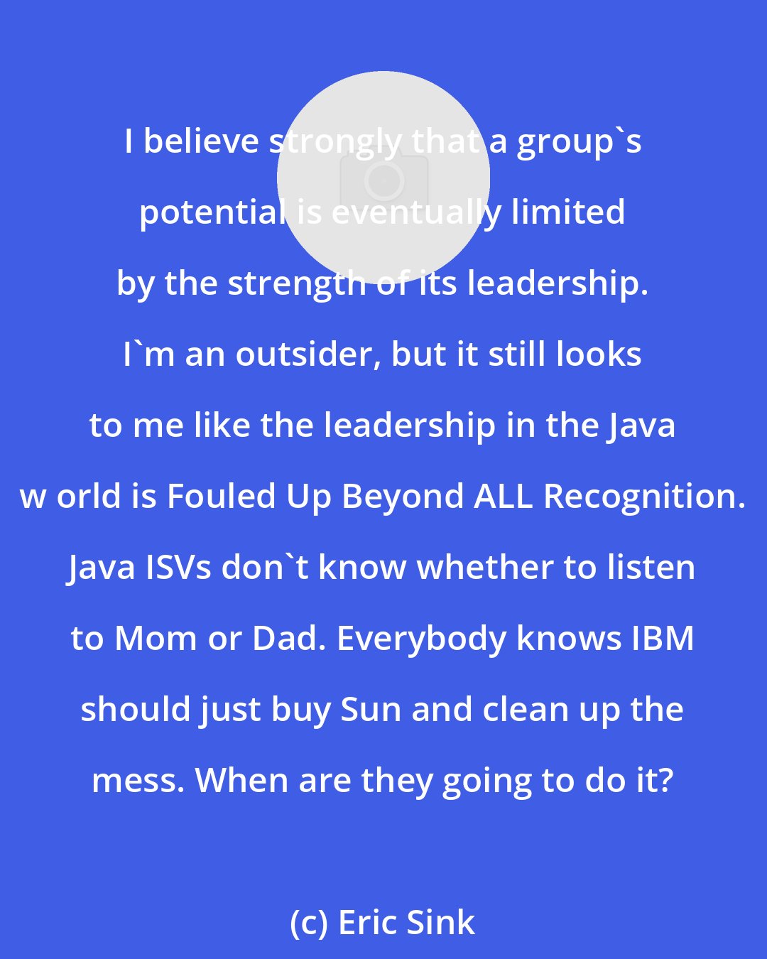 Eric Sink: I believe strongly that a group's potential is eventually limited by the strength of its leadership. I'm an outsider, but it still looks to me like the leadership in the Java w orld is Fouled Up Beyond ALL Recognition. Java ISVs don't know whether to listen to Mom or Dad. Everybody knows IBM should just buy Sun and clean up the mess. When are they going to do it?