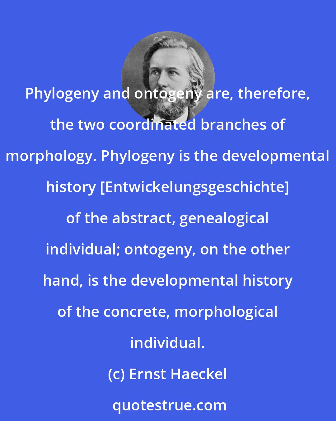 Ernst Haeckel: Phylogeny and ontogeny are, therefore, the two coordinated branches of morphology. Phylogeny is the developmental history [Entwickelungsgeschichte] of the abstract, genealogical individual; ontogeny, on the other hand, is the developmental history of the concrete, morphological individual.
