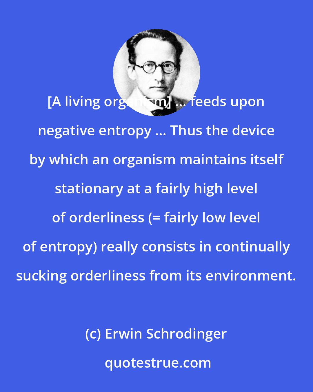 Erwin Schrodinger: [A living organism] ... feeds upon negative entropy ... Thus the device by which an organism maintains itself stationary at a fairly high level of orderliness (= fairly low level of entropy) really consists in continually sucking orderliness from its environment.