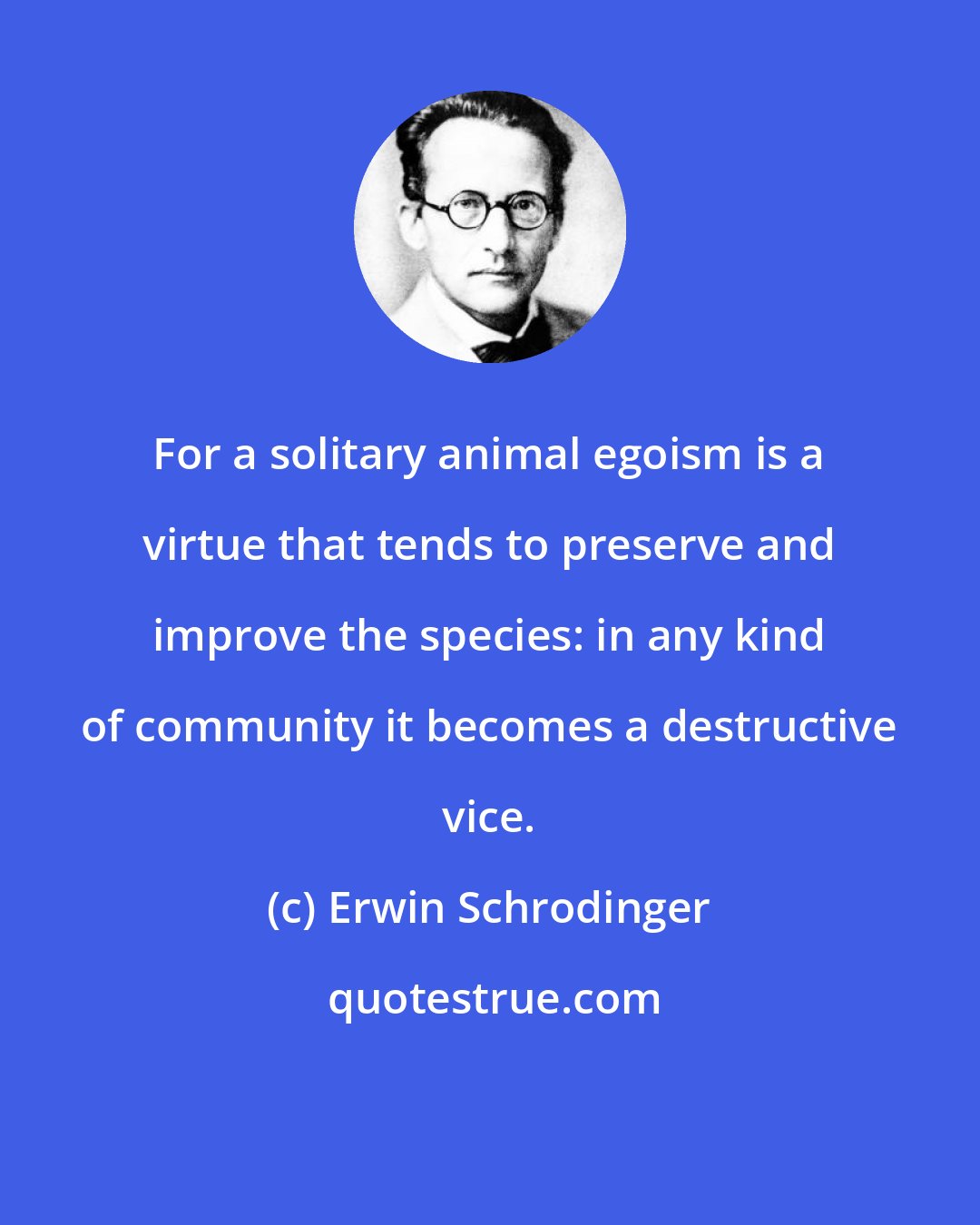 Erwin Schrodinger: For a solitary animal egoism is a virtue that tends to preserve and improve the species: in any kind of community it becomes a destructive vice.