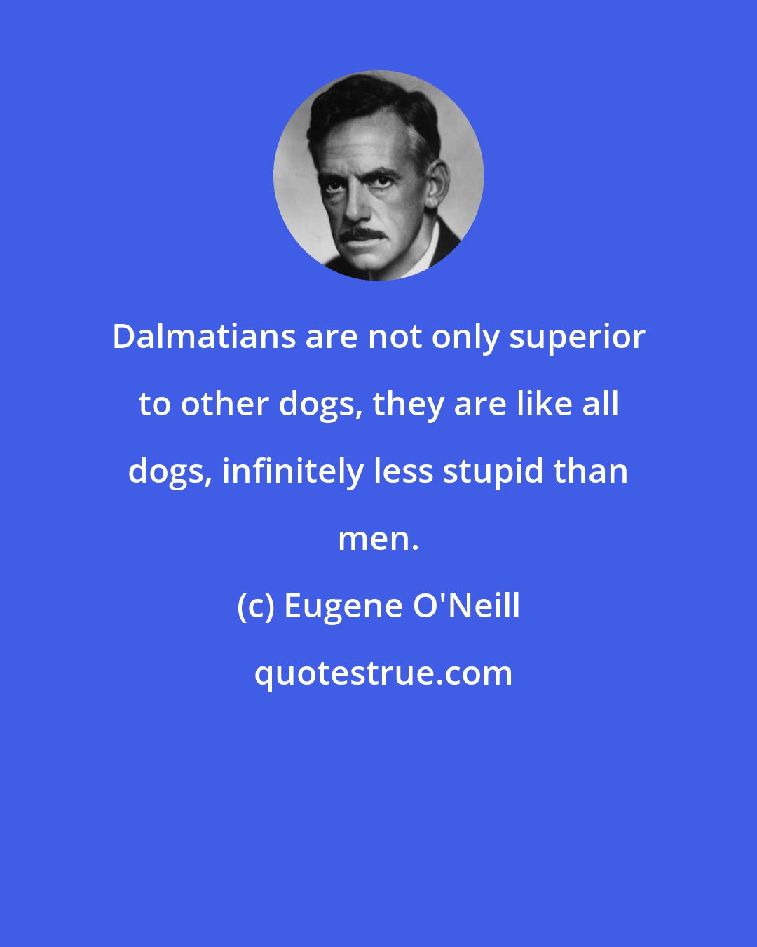 Eugene O'Neill: Dalmatians are not only superior to other dogs, they are like all dogs, infinitely less stupid than men.