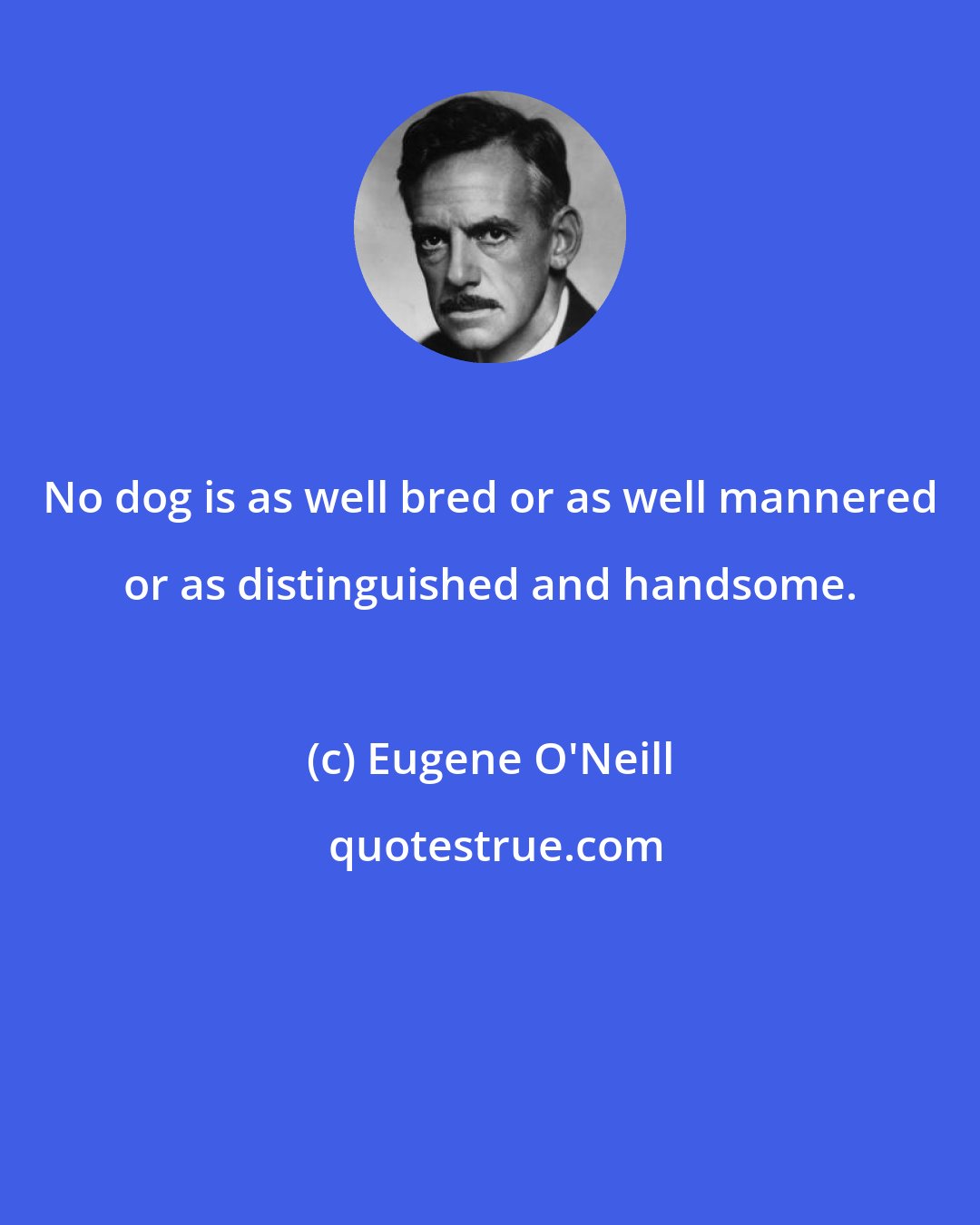 Eugene O'Neill: No dog is as well bred or as well mannered or as distinguished and handsome.