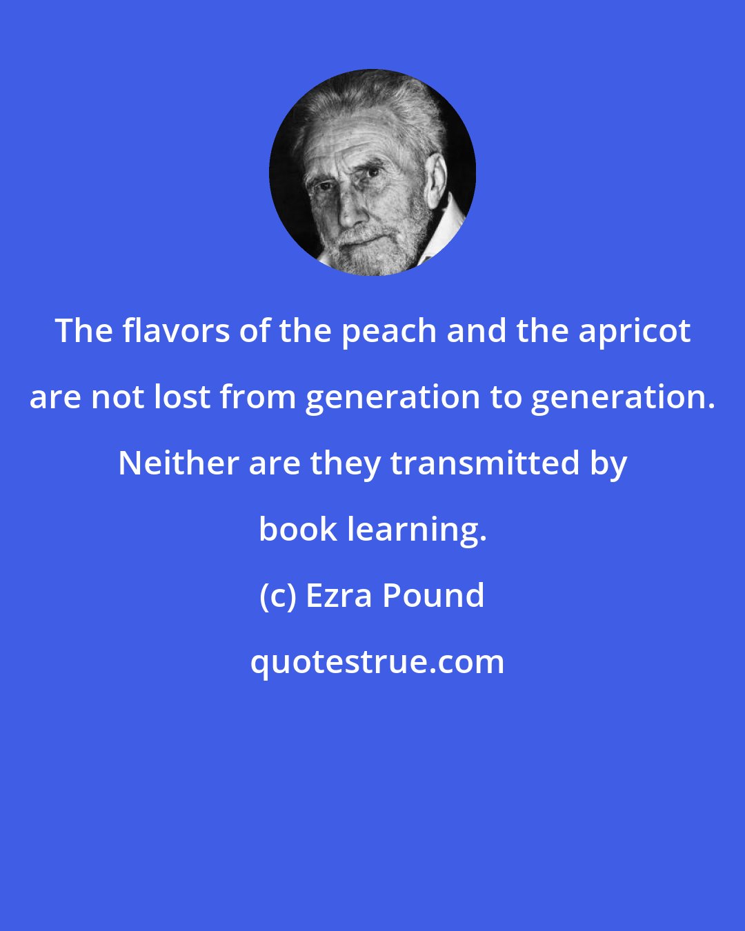 Ezra Pound: The flavors of the peach and the apricot are not lost from generation to generation. Neither are they transmitted by book learning.