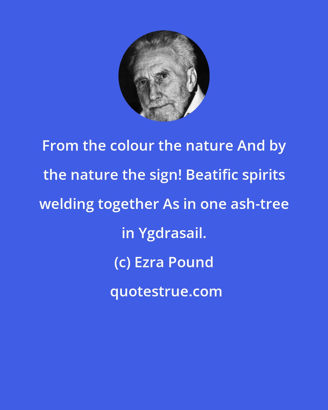 Ezra Pound: From the colour the nature And by the nature the sign! Beatific spirits welding together As in one ash-tree in Ygdrasail.