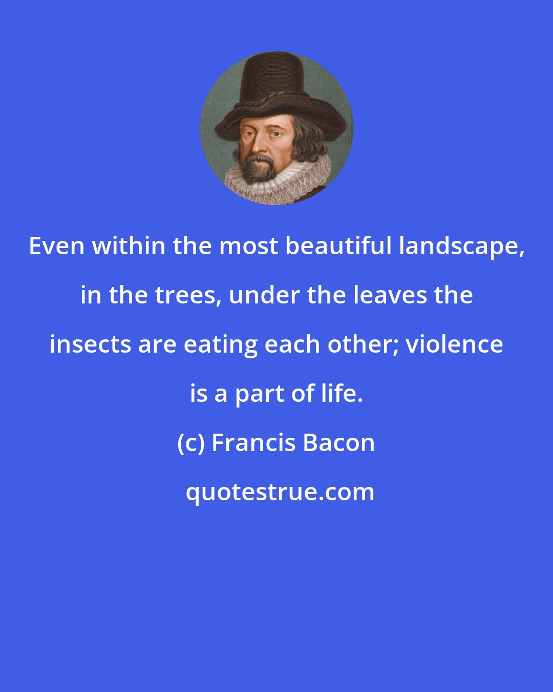 Francis Bacon: Even within the most beautiful landscape, in the trees, under the leaves the insects are eating each other; violence is a part of life.