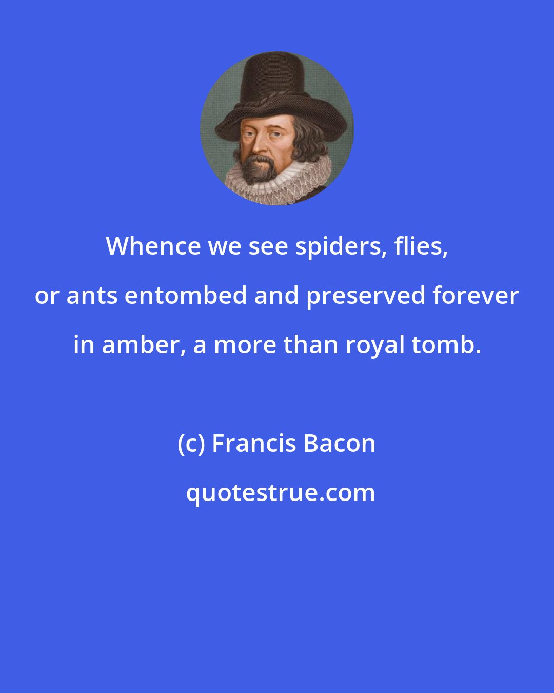 Francis Bacon: Whence we see spiders, flies, or ants entombed and preserved forever in amber, a more than royal tomb.